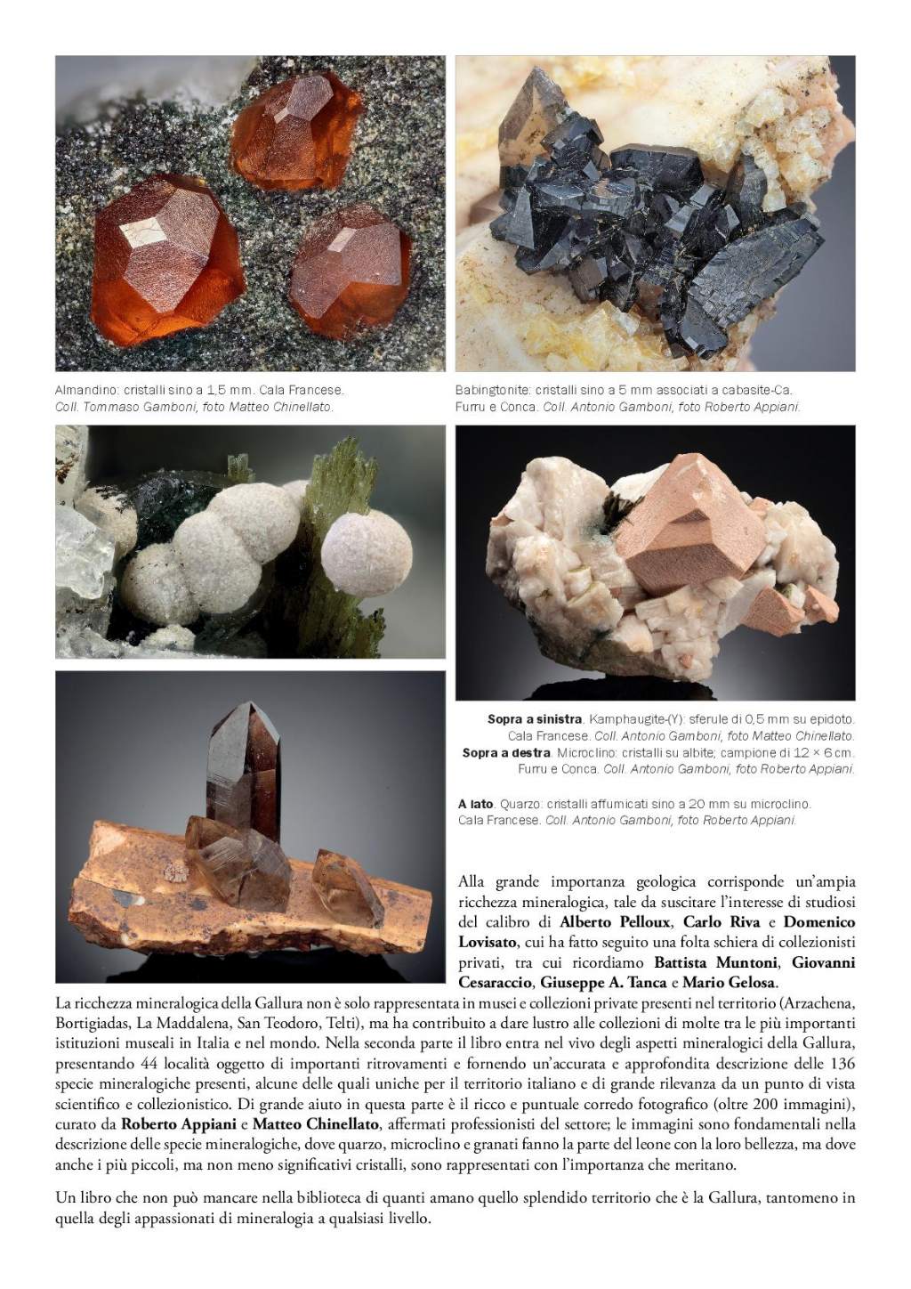 Libro nuova uscita: Gallura: rocce e minerali.